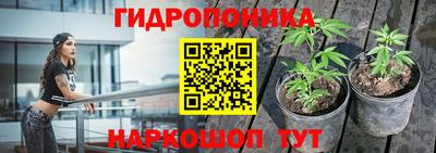 шишки Бузулук